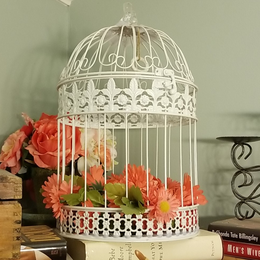Bird cage